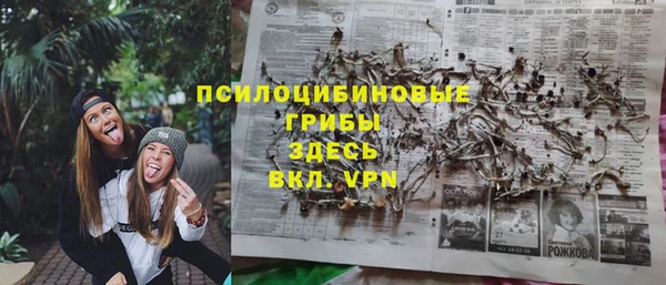 а пвп мука Абаза