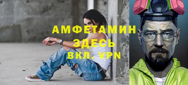 амф Новозыбков